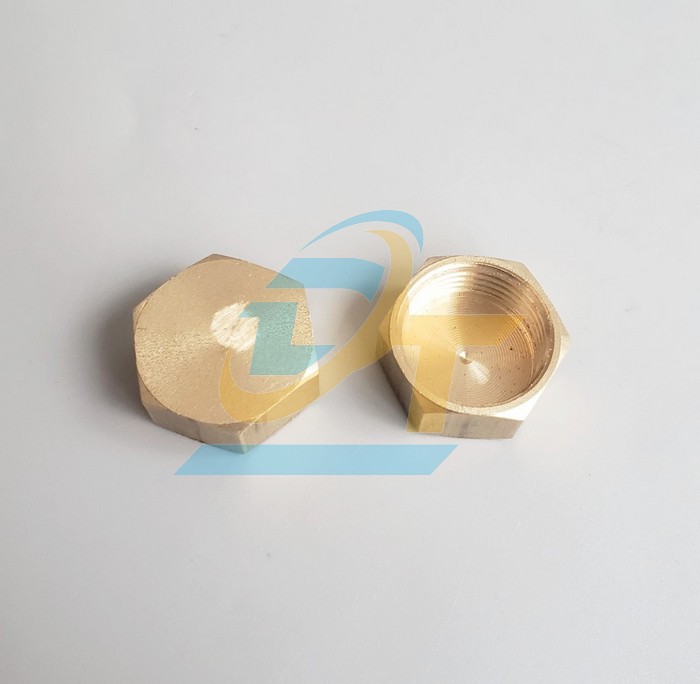 Nắp b&iacute;t ren trong đồng thau phi 21