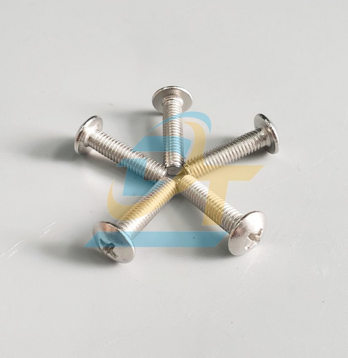 Bulong bake đầu d&ugrave; inox 201 M5x30