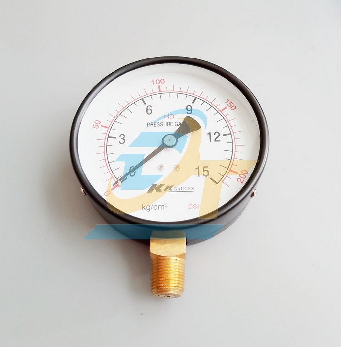 Đồng hồ đo áp suất 100mm 0-15kgf/cm2 (Chân đứng ren 17mm)