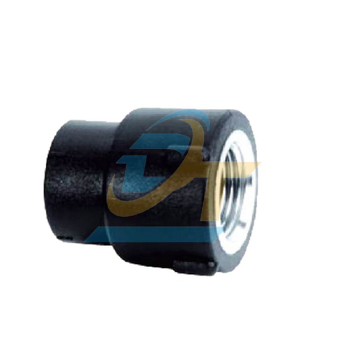 Nối ren trong HDPE H&agrave;n &acirc;m dương 40x1-1/4"