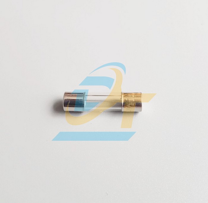 Cầu chì ống thủy tinh 10A 6x30mm
