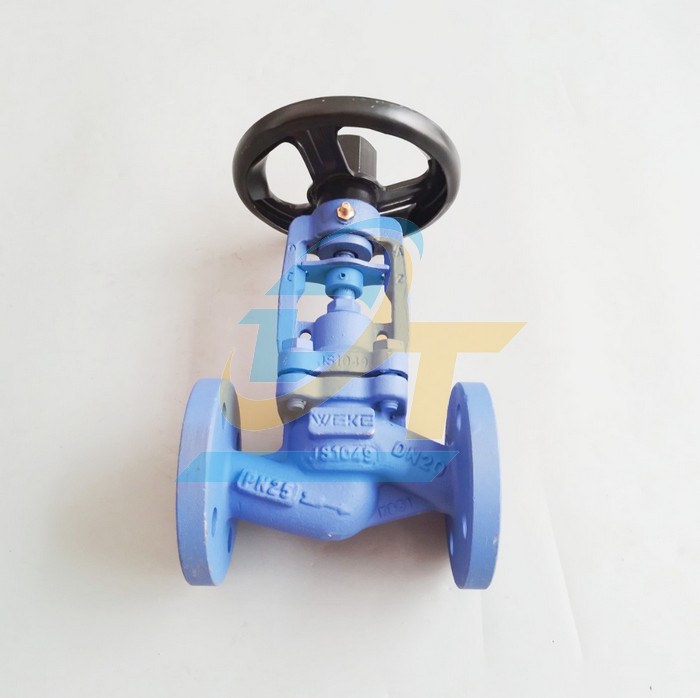 Van cầu hơi nối b&iacute;ch PN25 WEKE DN20