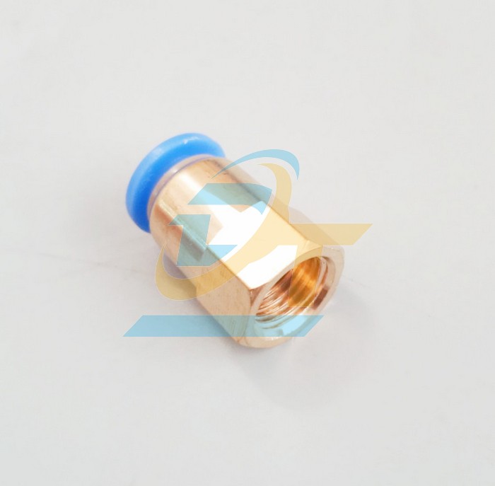 Đầu nối hơi thẳng ren trong 13 ống 10 China CF10-02