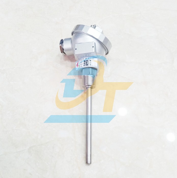 Đầu dò PT100 củ hành ren 21 phi 8mm x L100mm Samil TH-M-PT-0.1