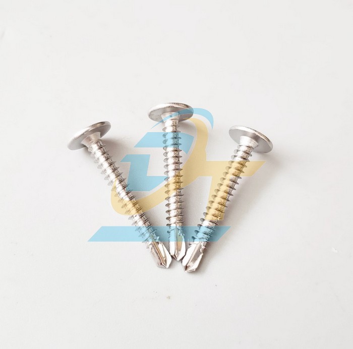Vít sàn đầu dù đuôi cá inox 410 13mm