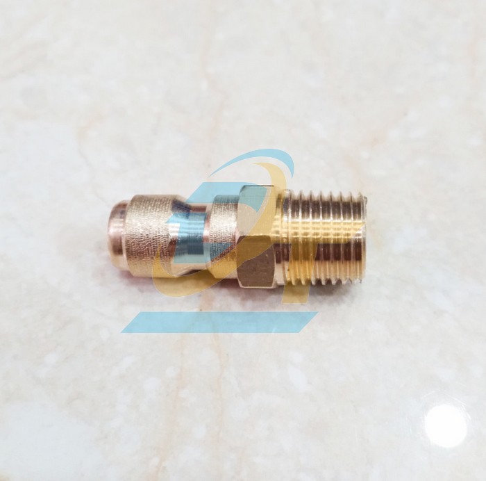 Khớp nối nhanh kh&iacute; n&eacute;n thau 20PM