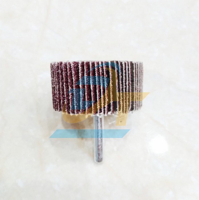 Nhám cà rem (Nhám chuôi trụ) Jingwei 50x25