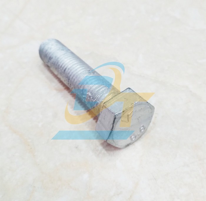 Bulong mạ kẽm nhúng nóng M16x70