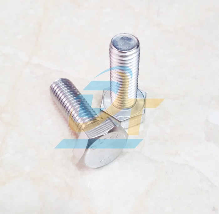 Bulong inox 304 M6x60