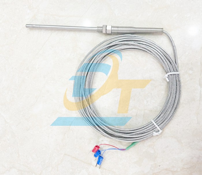 Cảm biến nhiệt độ PT100 M5x100mm 6M -200-500°C WZP-187