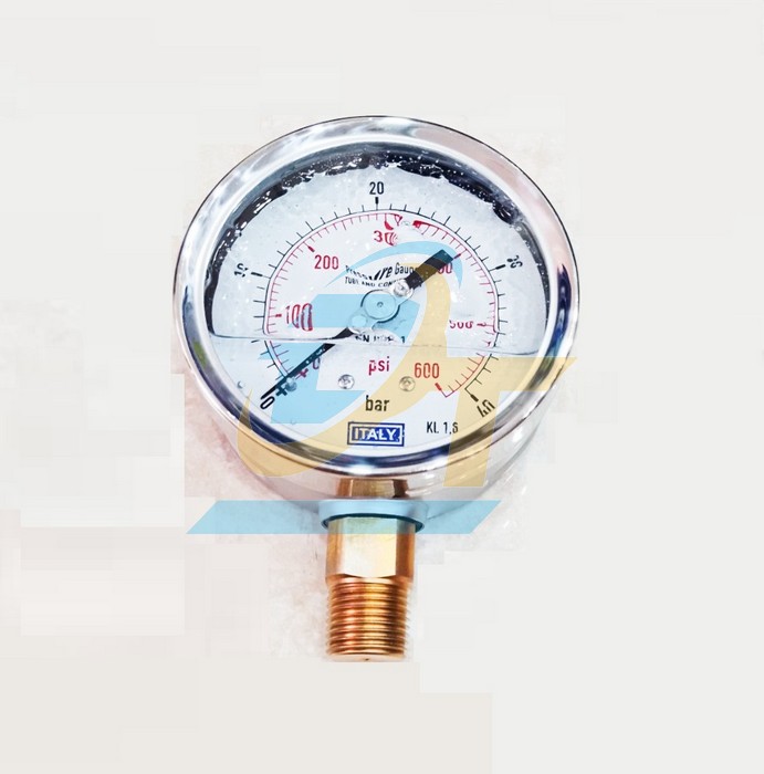 Đồng hồ đo áp suất 100mm 0-40bar Italy (Chân đứng)
