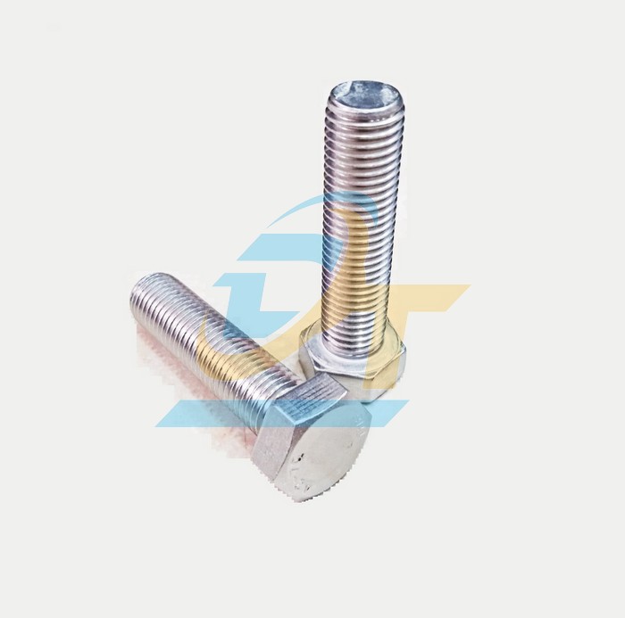 Bulong + con t&aacute;n inox 304 M20x80