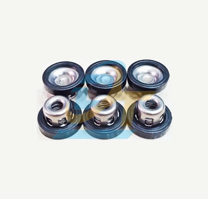 Van 1 chiều (Luppe) máy bơm xịt rửa xe áp lực 1HP