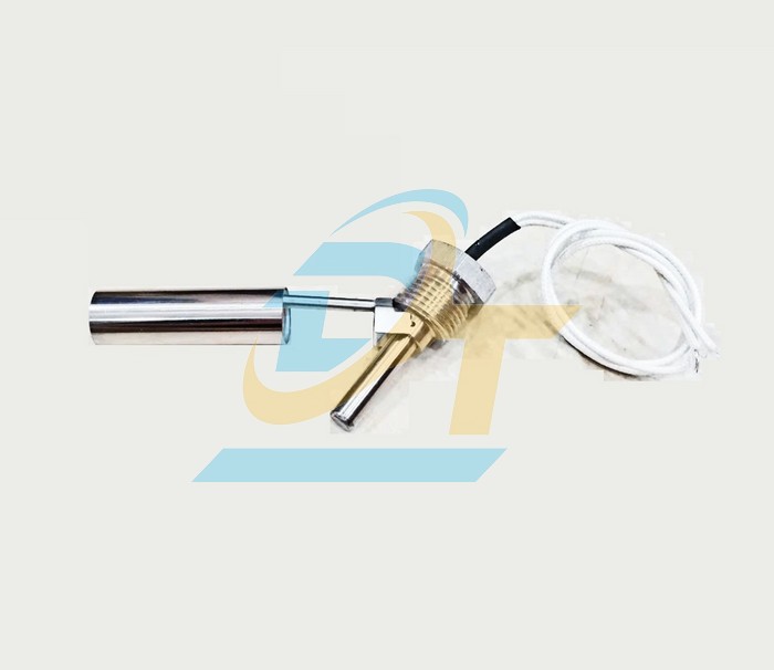 Phao điện inox 304 hình mỏ vịt kiểu B ren 21mm