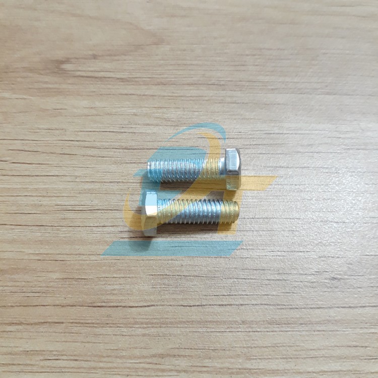 Bulong mạ kẽm M6x20  VietNam | Gi&aacute; rẻ nhất - C&ocirc;ng Ty TNHH Thương Mại Dịch Vụ Đạt T&acirc;m