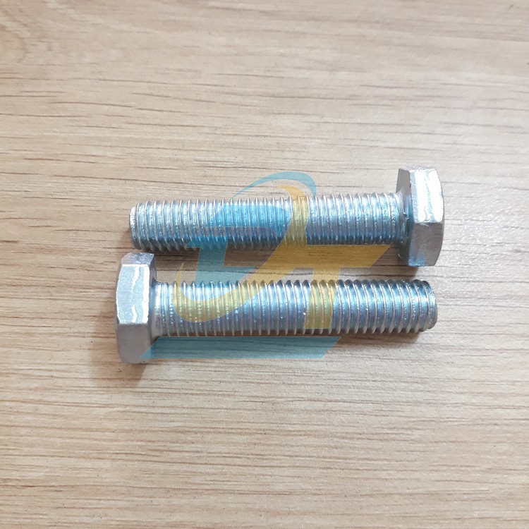 Bulong + con t&aacute;n mạ kẽm M10x50  VietNam | Gi&aacute; rẻ nhất - C&ocirc;ng Ty TNHH Thương Mại Dịch Vụ Đạt T&acirc;m