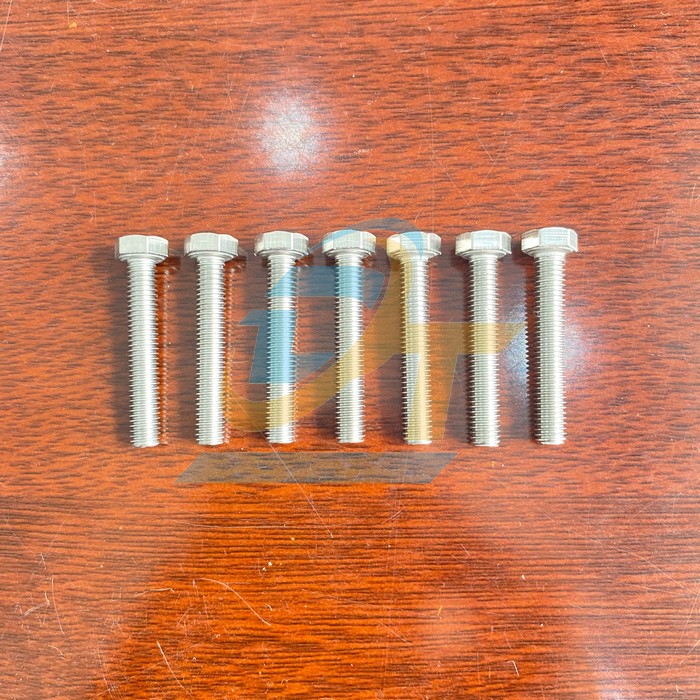 Bộ bulong + t&aacute;n + long đền inox 304 M5x30  VietNam | Gi&aacute; rẻ nhất - C&ocirc;ng Ty TNHH Thương Mại Dịch Vụ Đạt T&acirc;m