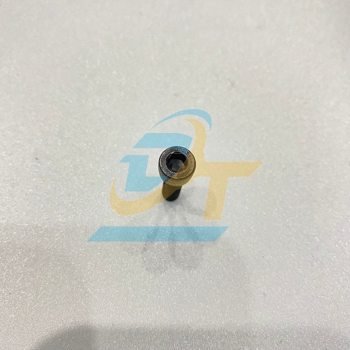 Bulong lục gi&aacute;c ch&igrave;m đầu trụ th&eacute;p đen M5x15  VietNam | Gi&aacute; rẻ nhất - C&ocirc;ng Ty TNHH Thương Mại Dịch Vụ Đạt T&acirc;m