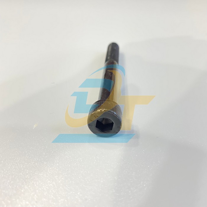 Bulong lục gi&aacute;c ch&igrave;m đầu trụ th&eacute;p đen ren lửng M8x70  VietNam | Gi&aacute; rẻ nhất - C&ocirc;ng Ty TNHH Thương Mại Dịch Vụ Đạt T&acirc;m