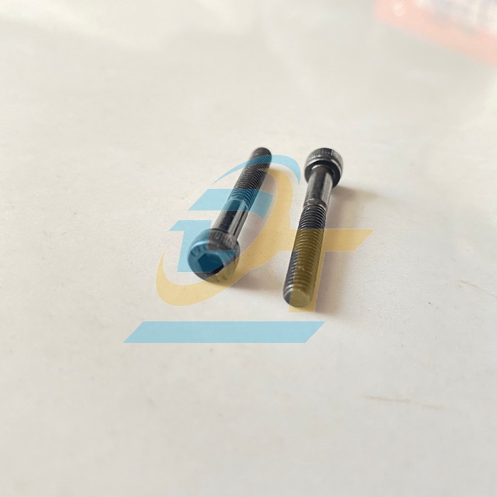 Bulong lục gi&aacute;c ch&igrave;m đầu trụ th&eacute;p đen ren lửng M4x30  VietNam | Gi&aacute; rẻ nhất - C&ocirc;ng Ty TNHH Thương Mại Dịch Vụ Đạt T&acirc;m