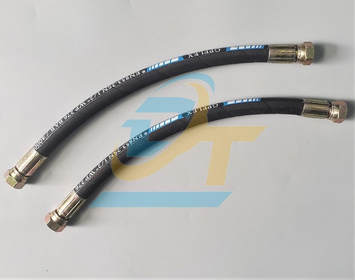 Ống tuy ô thủy lực GPFLEX 1/2"x440mm bấm 2 đầu ren trong 21 côn lồi  GPFLEX | Giá rẻ nhất - Công Ty TNHH Thương Mại Dịch Vụ Đạt Tâm