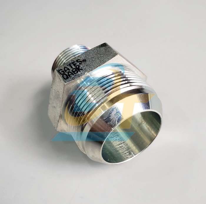 K&eacute;p c&ocirc;n inox 201 2 đầu ren 1" - Số 24 (49 lồi, 34 l&otilde;m)  VietNam | Gi&aacute; rẻ nhất - C&ocirc;ng Ty TNHH Thương Mại Dịch Vụ Đạt T&acirc;m