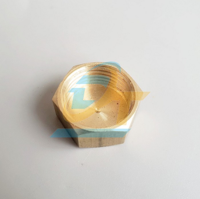 Nắp b&iacute;t ren trong đồng thau phi 21  VietNam | Gi&aacute; rẻ nhất - C&ocirc;ng Ty TNHH Thương Mại Dịch Vụ Đạt T&acirc;m