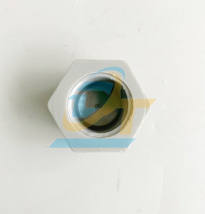 Nắp b&iacute;t PVC ren trong 21 B&igrave;nh Minh   | Gi&aacute; rẻ nhất - C&ocirc;ng Ty TNHH Thương Mại Dịch Vụ Đạt T&acirc;m