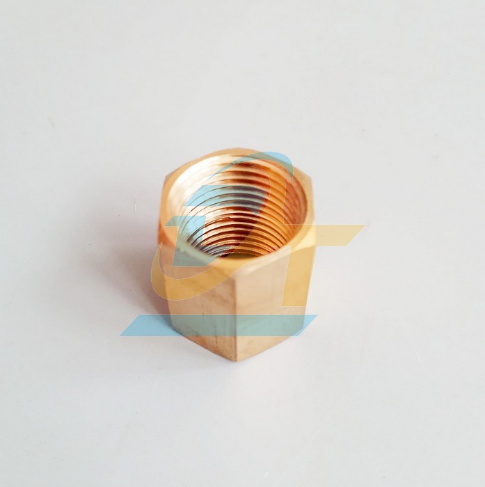 Nối ren trong (Măng x&ocirc;ng) đồng thau phi 21  VietNam | Gi&aacute; rẻ nhất - C&ocirc;ng Ty TNHH Thương Mại Dịch Vụ Đạt T&acirc;m