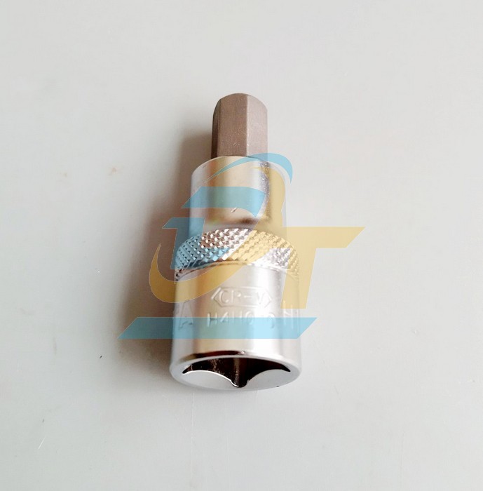 Đầu tu&yacute;p 1/2" b&iacute;t lục gi&aacute;c 10mm Licota H4H010 H4H010 Licota | Gi&aacute; rẻ nhất - C&ocirc;ng Ty TNHH Thương Mại Dịch Vụ Đạt T&acirc;m