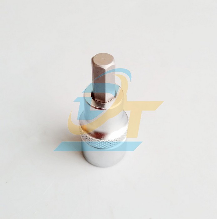 Đầu tu&yacute;p 1/2" b&iacute;t lục gi&aacute;c 8mm Licota H4H008 H4H008 Licota | Gi&aacute; rẻ nhất - C&ocirc;ng Ty TNHH Thương Mại Dịch Vụ Đạt T&acirc;m