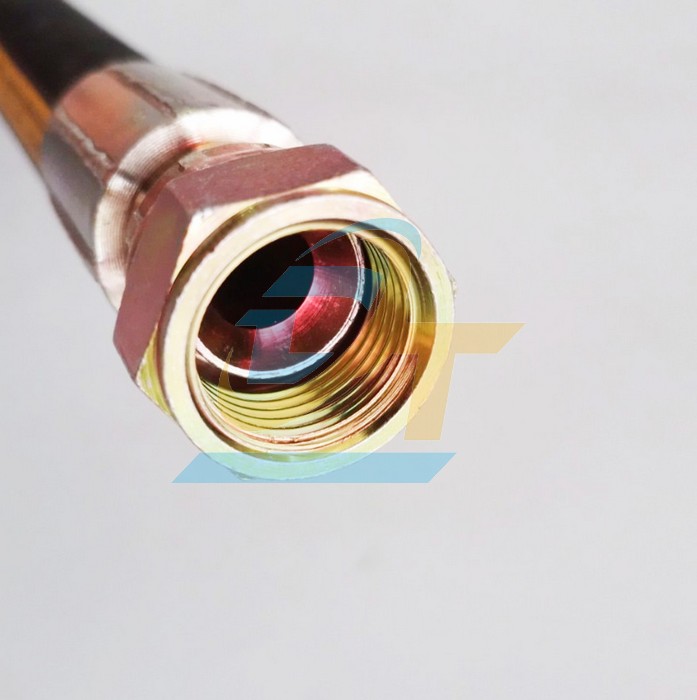 Ống tuy &ocirc; thủy lực 2 lớp bố Dynexflex 1/2"x1000mm bấm 2 đầu ren trong 19 c&ocirc;n l&otilde;m  DYNEXFLEX | Gi&aacute; rẻ nhất - C&ocirc;ng Ty TNHH Thương Mại Dịch Vụ Đạt T&acirc;m