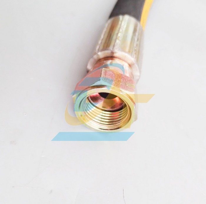 Ống tuy &ocirc; thủy lực 2 lớp bố Dynexflex 1/2"x1000mm bấm 2 đầu ren trong 19 c&ocirc;n l&otilde;m  DYNEXFLEX | Gi&aacute; rẻ nhất - C&ocirc;ng Ty TNHH Thương Mại Dịch Vụ Đạt T&acirc;m