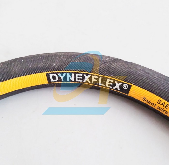 Ống tuy &ocirc; thủy lực 2 lớp bố Dynexflex 1/2"x1000mm bấm 2 đầu ren trong 19 c&ocirc;n l&otilde;m  DYNEXFLEX | Gi&aacute; rẻ nhất - C&ocirc;ng Ty TNHH Thương Mại Dịch Vụ Đạt T&acirc;m