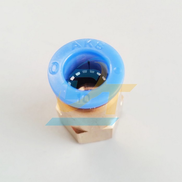 Đầu nối hơi thẳng ren trong 13 ống 10 China CF10-02  China | Gi&aacute; rẻ nhất - C&ocirc;ng Ty TNHH Thương Mại Dịch Vụ Đạt T&acirc;m