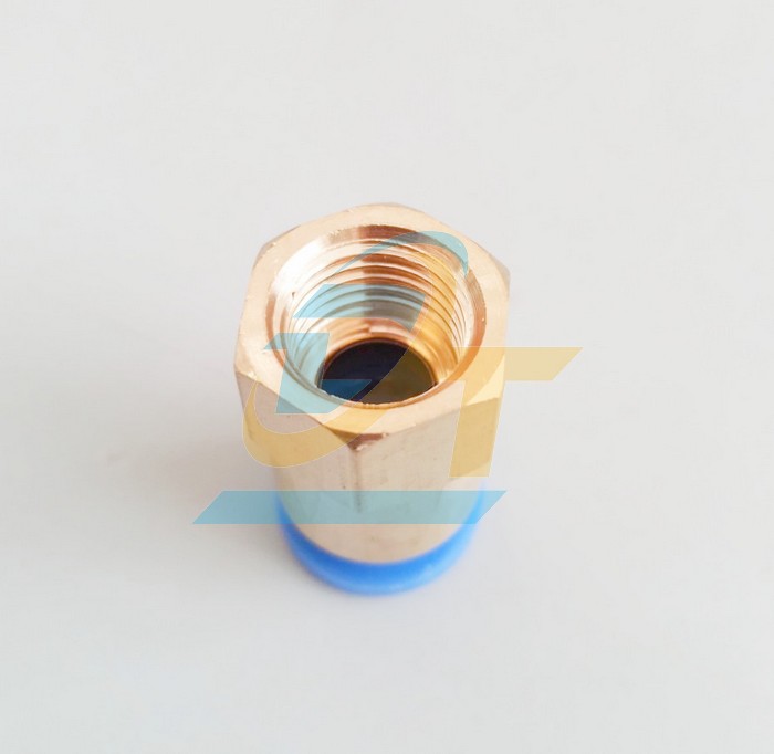 Đầu nối hơi thẳng ren trong 13 ống 10 China CF10-02  China | Gi&aacute; rẻ nhất - C&ocirc;ng Ty TNHH Thương Mại Dịch Vụ Đạt T&acirc;m