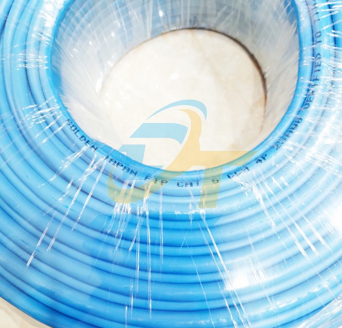 Cáp mạng chống nhiễu Golden Japan FTP CAT6 100m  GOLDEN-JAPAN | Giá rẻ nhất - Công Ty TNHH Thương Mại Dịch Vụ Đạt Tâm