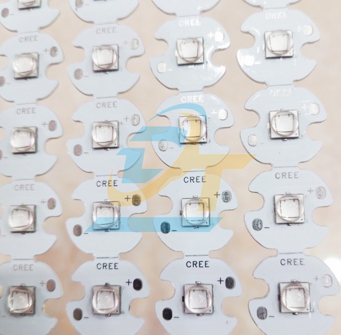 Chip Led Cree XML2 T6 10W  China | Giá rẻ nhất - Công Ty TNHH Thương Mại Dịch Vụ Đạt Tâm