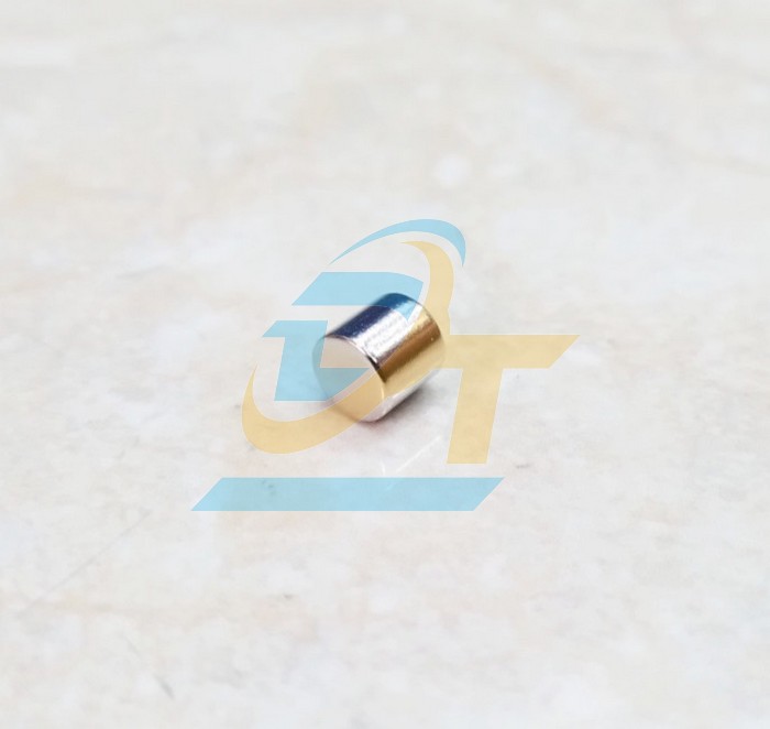 Nam châm viên 10x10mm  VietNam | Giá rẻ nhất - Công Ty TNHH Thương Mại Dịch Vụ Đạt Tâm