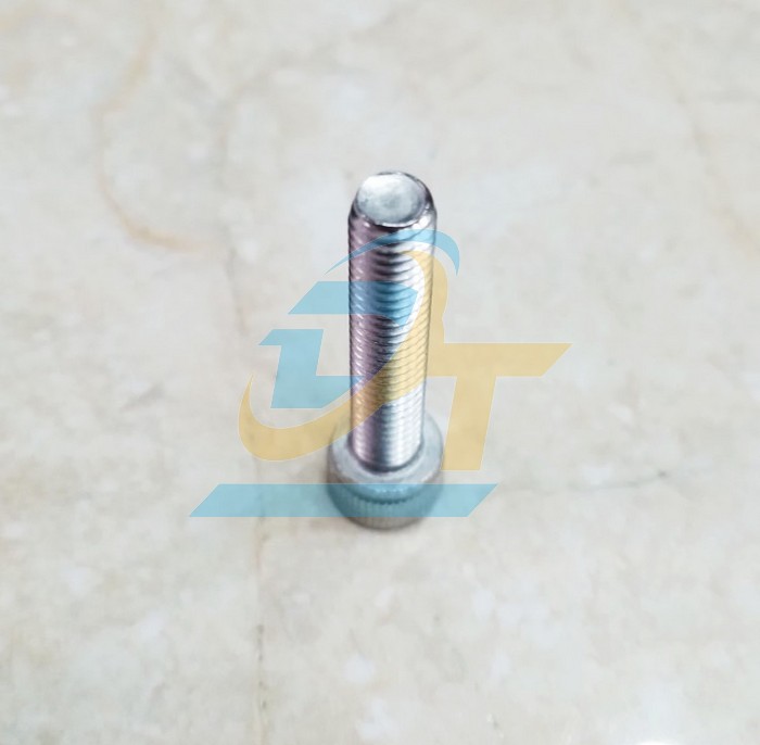 Bulong lục gi&aacute;c ch&igrave;m đầu trụ inox 304 M6x25  VietNam | Gi&aacute; rẻ nhất - C&ocirc;ng Ty TNHH Thương Mại Dịch Vụ Đạt T&acirc;m