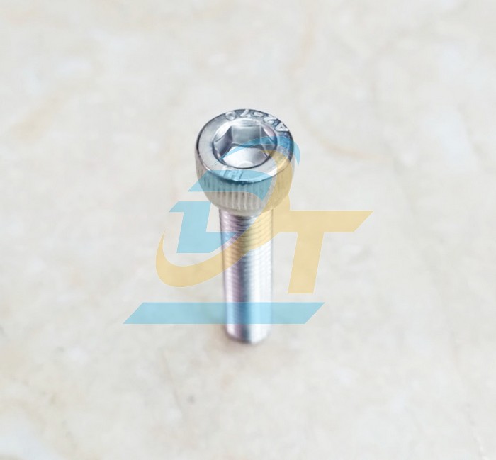 Bulong lục gi&aacute;c ch&igrave;m đầu trụ inox 304 M6x30  VietNam | Gi&aacute; rẻ nhất - C&ocirc;ng Ty TNHH Thương Mại Dịch Vụ Đạt T&acirc;m