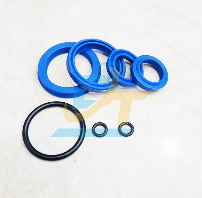 Bộ phớt xe nâng tay thấp 2500kg cho ty ben 31.5  China | Giá rẻ nhất - Công Ty TNHH Thương Mại Dịch Vụ Đạt Tâm