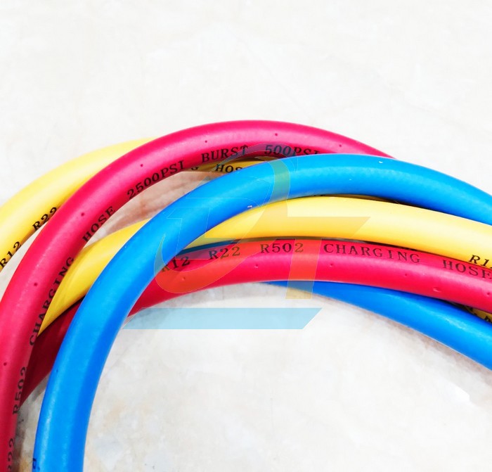 Bộ đồng hồ nạp Gas đ&ocirc;i c&oacute; d&acirc;y CT-536G CT-536G China | Gi&aacute; rẻ nhất - C&ocirc;ng Ty TNHH Thương Mại Dịch Vụ Đạt T&acirc;m