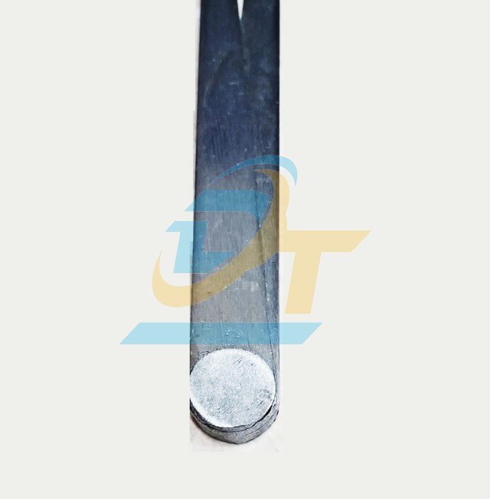 Compa cơ khí (Nhíp) đo trong 300mm  China | Giá rẻ nhất - Công Ty TNHH Thương Mại Dịch Vụ Đạt Tâm