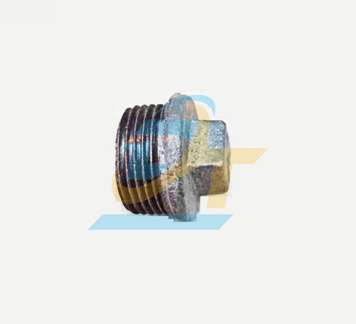 Nắp bít ren ngoài gang phi 27  VietNam | Giá rẻ nhất - Công Ty TNHH Thương Mại Dịch Vụ Đạt Tâm
