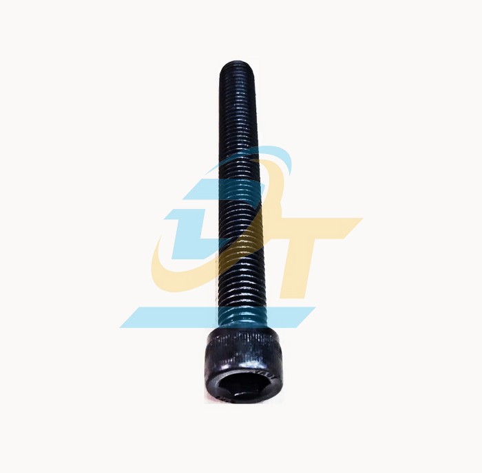 Bulong lục giác chìm đầu trụ thép đen M12x100  VietNam | Giá rẻ nhất - Công Ty TNHH Thương Mại Dịch Vụ Đạt Tâm